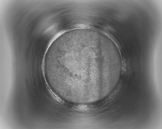 X0000103961098200810031159
