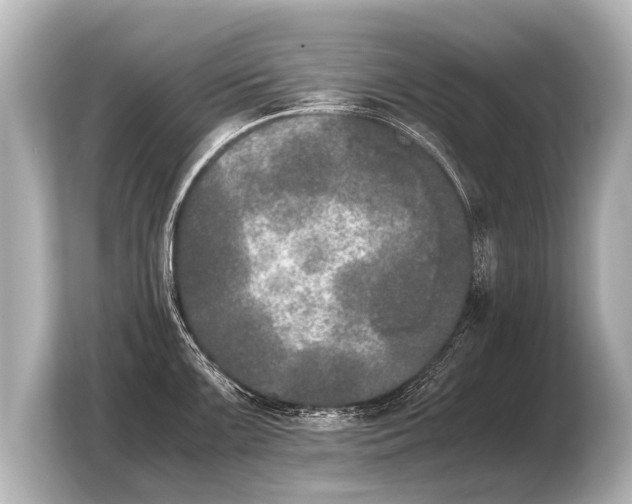 X0000103961099200810031159