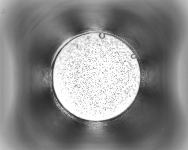 X0000103961100200810031159