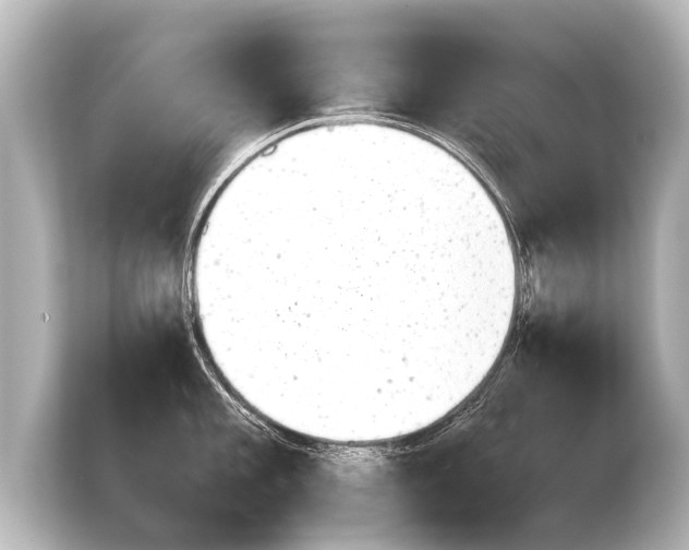 X0000103961101200810031159