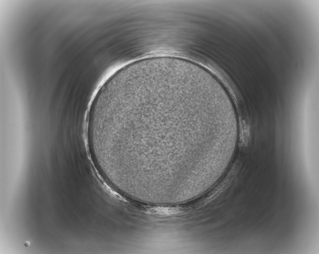 X0000103961102200810031159