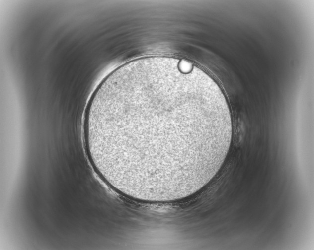 X0000103961103200810031159