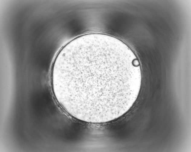 X0000103961104200810031159