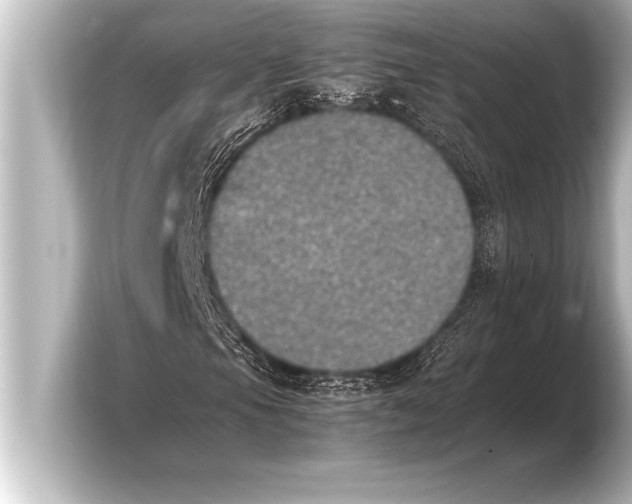 X0000103961105200810031158