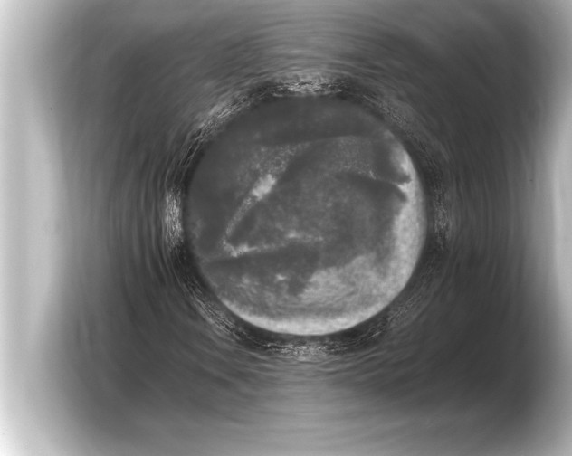 X0000103961106200810031158