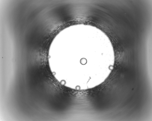 X0000103961110200810031158