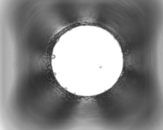 X0000103961112200810031158