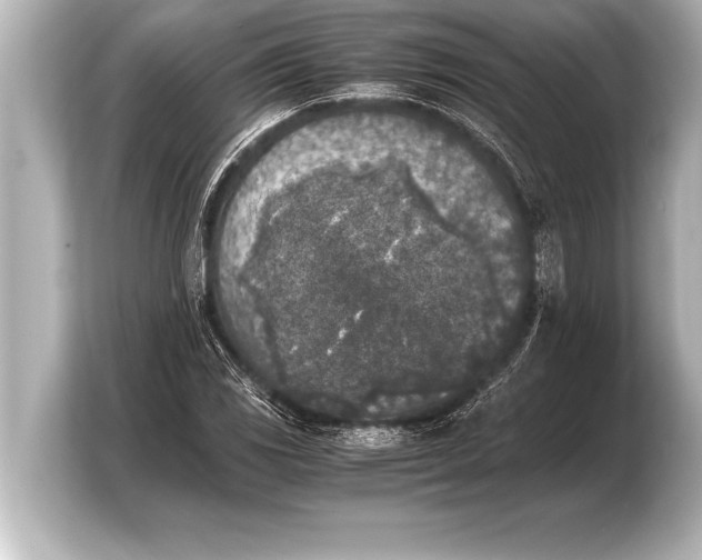 X0000103961117200810031158