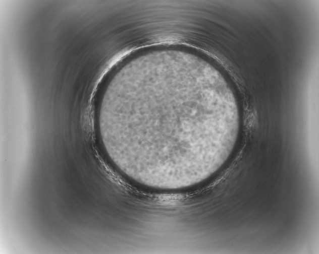 X0000103961118200810031158