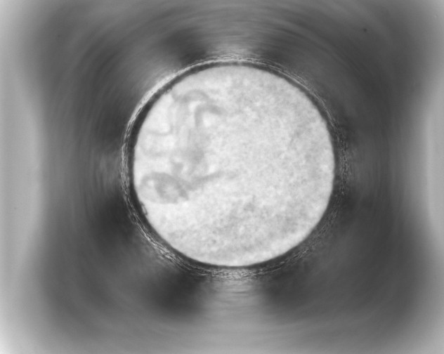 X0000103961120200810031158