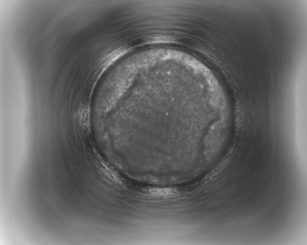 X0000103961121200810031158