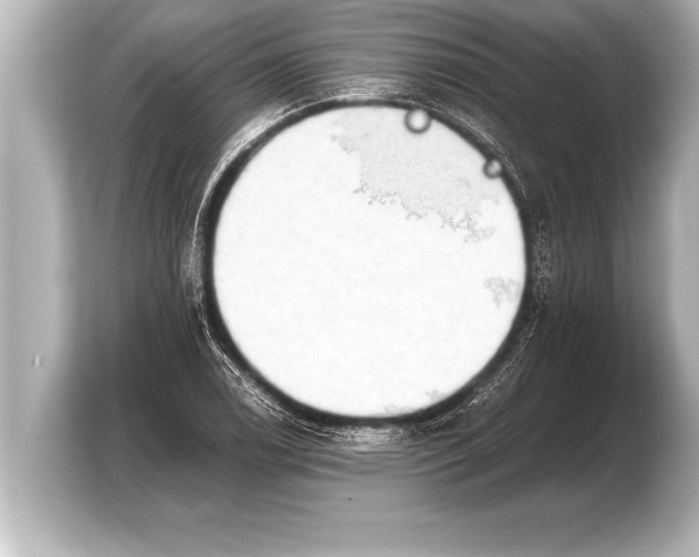 X0000103961122200810031158