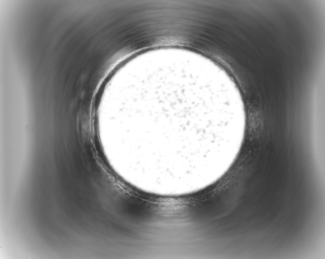 X0000103961124200810031158