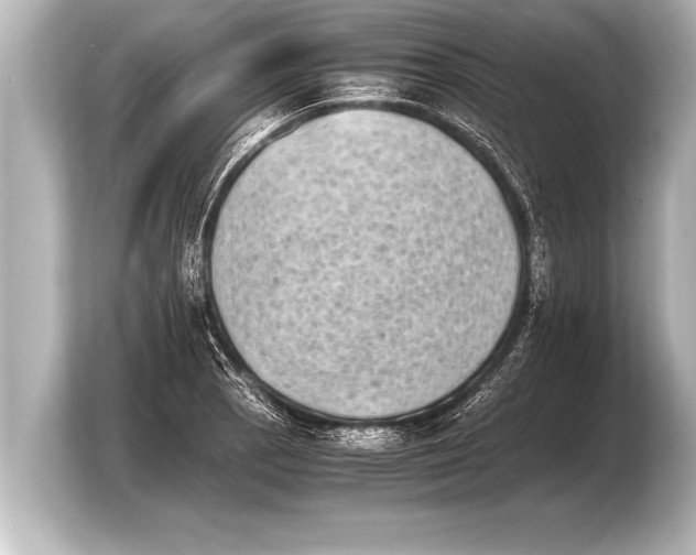 X0000103961129200810031158