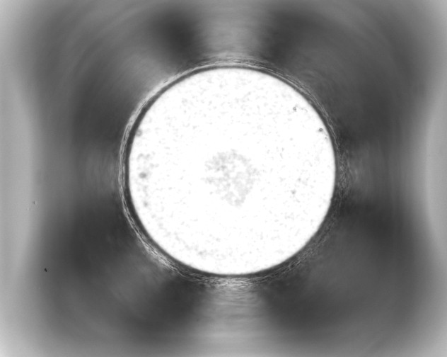 X0000103961136200810031158