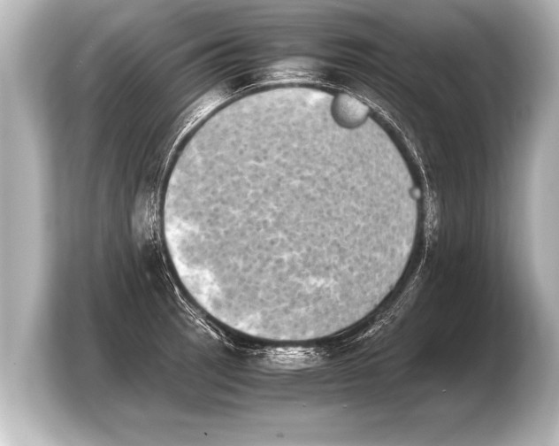X0000103961137200810031158
