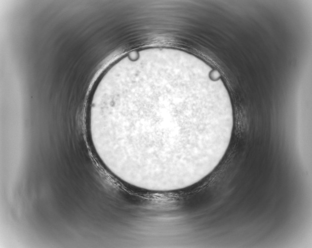 X0000103961138200810031159