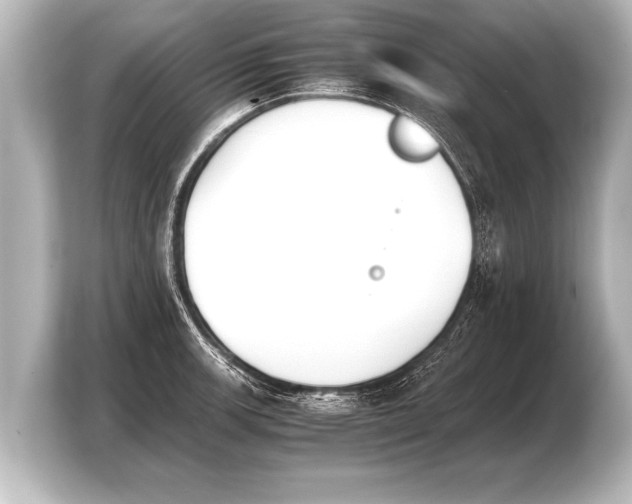 X0000103961139200810031159