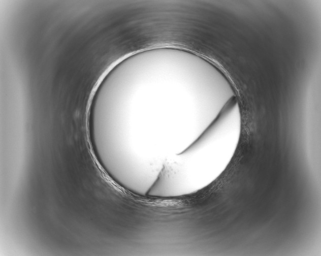 X0000103961140200810031159
