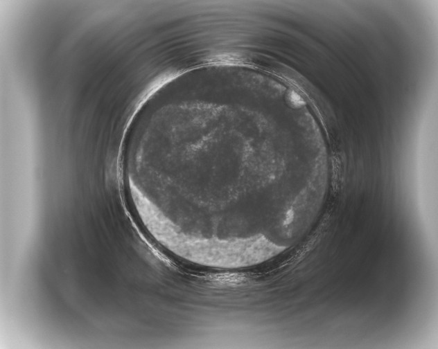 X0000103961141200810031159