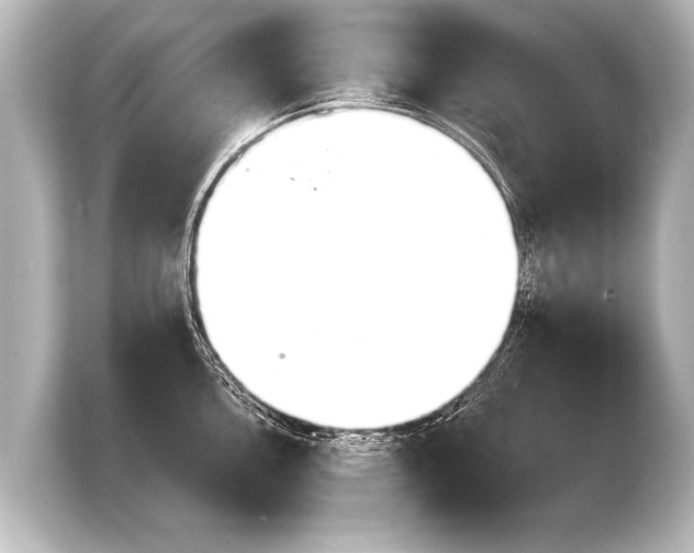 X0000103961146200810031159