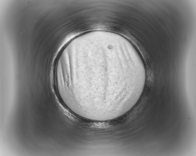X0000103961147200810031159