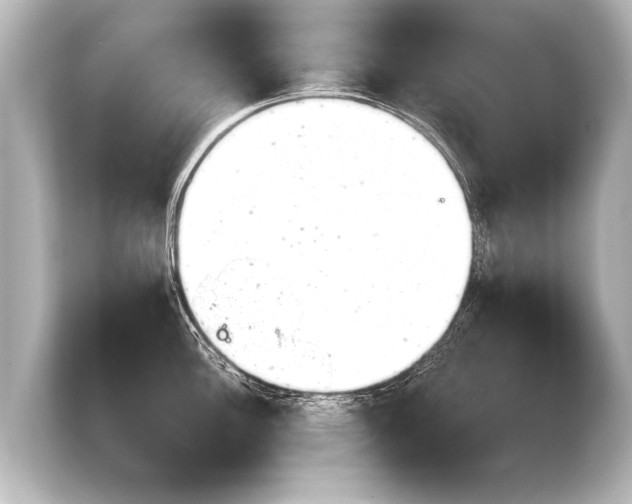 X0000103961148200810031159
