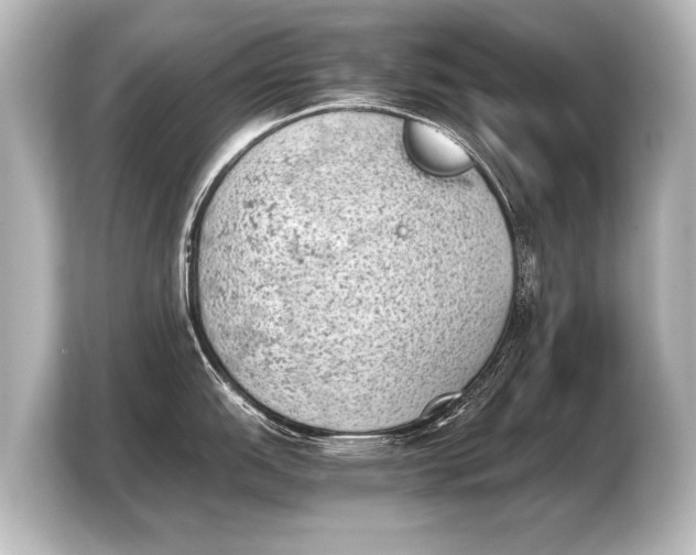X0000103961151200810031159