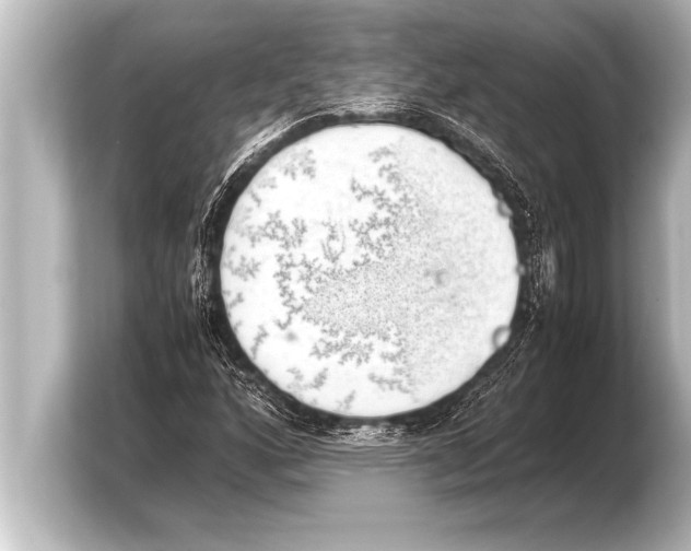X0000103961160200810031158