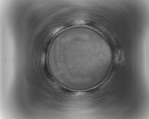 X0000103961161200810031158