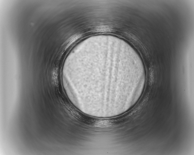 X0000103961162200810031158