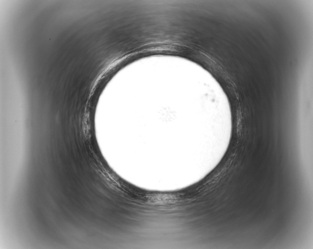 X0000103961164200810031158