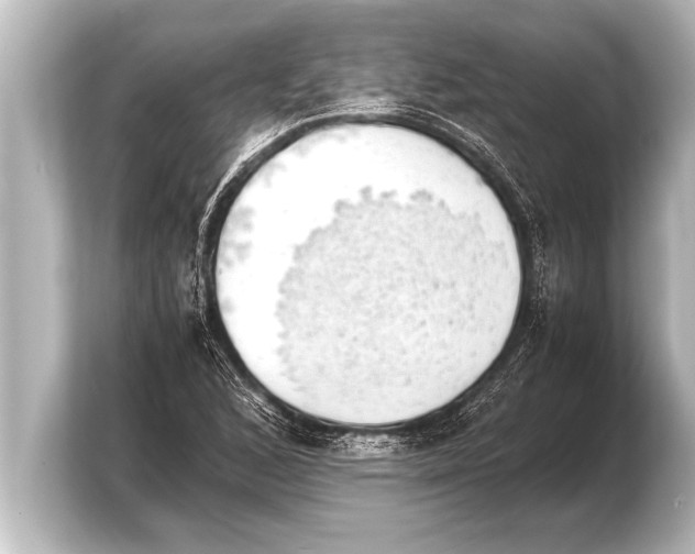 X0000103961168200810031158