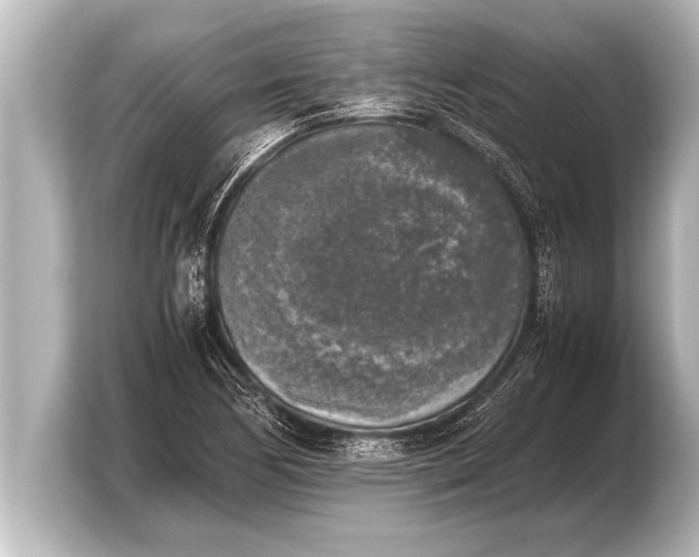 X0000103961170200810031158