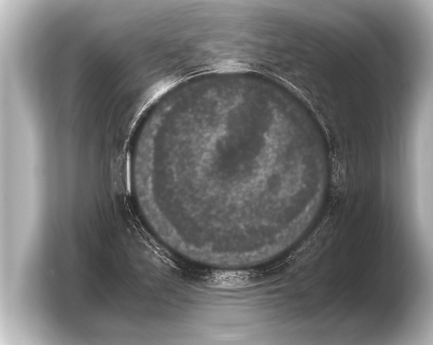 X0000103961171200810031158