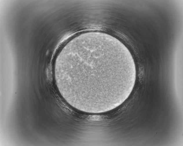 X0000103961172200810031158