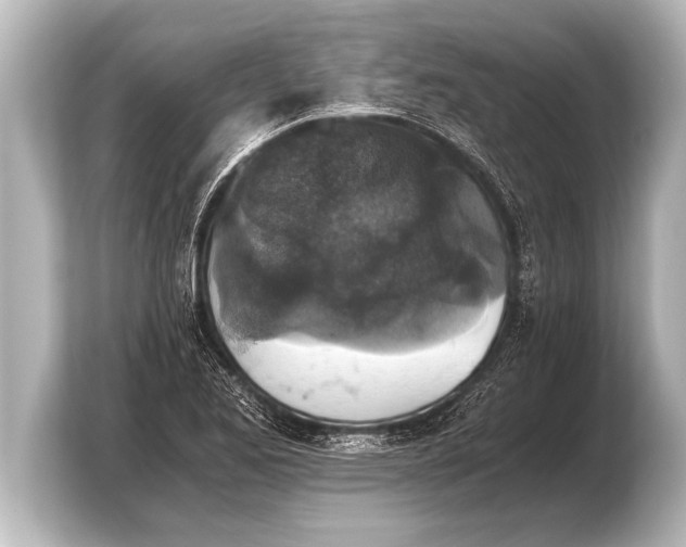 X0000103961173200810031158