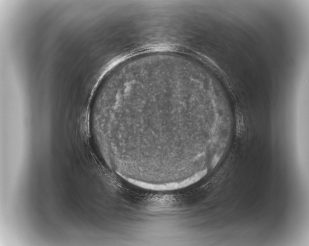 X0000103961174200810031158