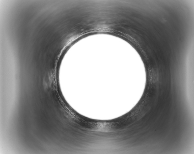 X0000103961176200810031158