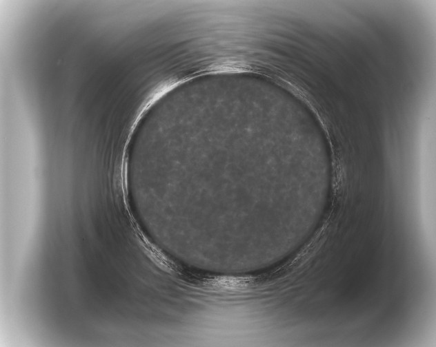 X0000103961179200810031158