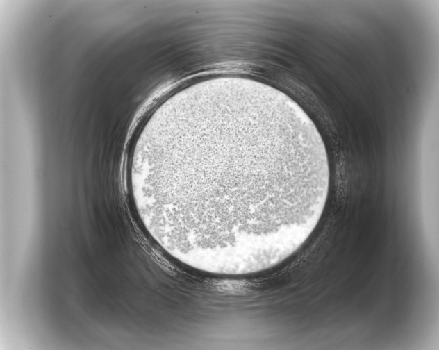 X0000103961180200810031158