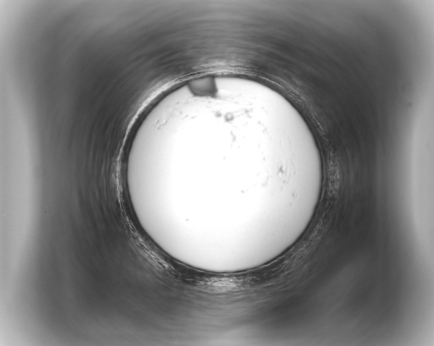 X0000103961182200810031158