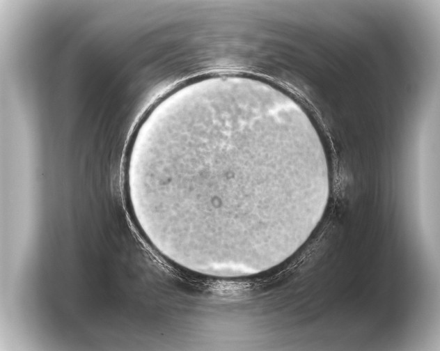 X0000103961183200810031158