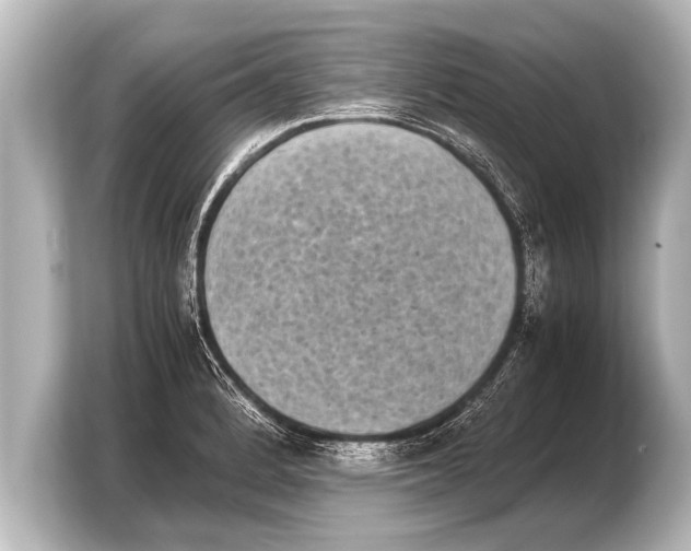 X0000103961184200810031158