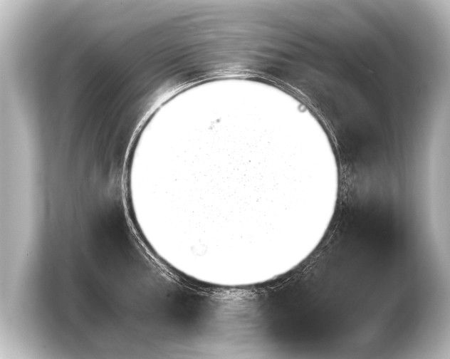 X0000103961187200810031158