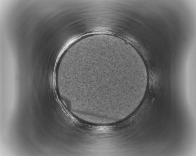 X0000103961188200810031158