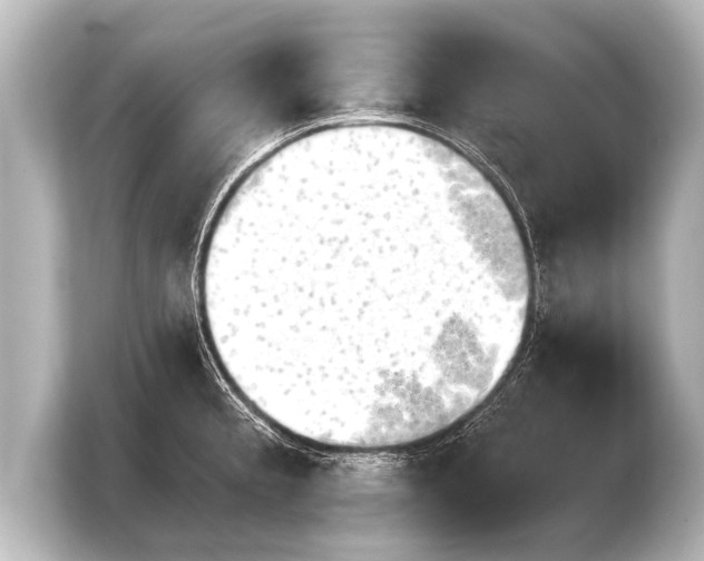 X0000103961189200810031158