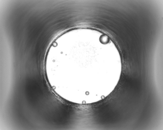 X0000103961191200810031158