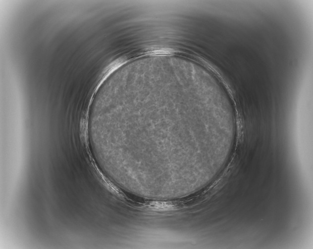X0000103961194200810031158