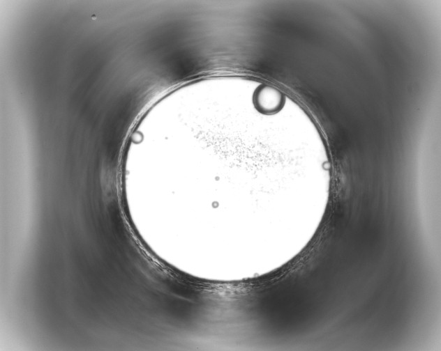 X0000103961195200810031158